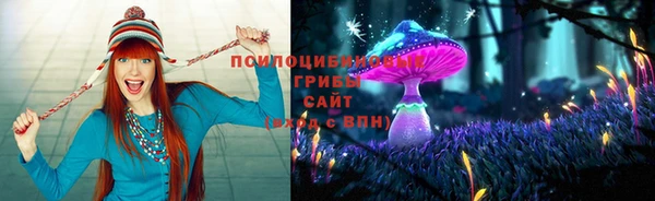 прущая мука Алексин