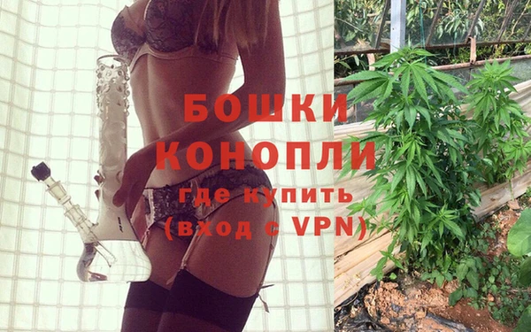 молекула духа Алзамай