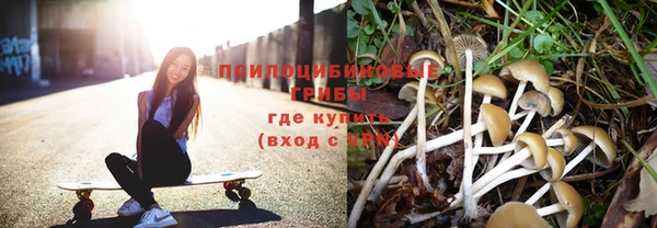 прущая мука Алексин