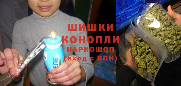 молекула духа Алзамай